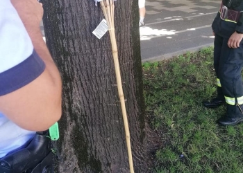 Un bărbat a încercat să dea foc steagurilor de la primărie