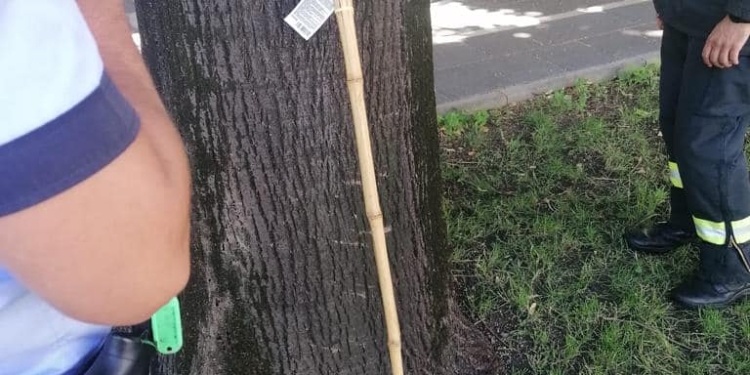 Un bărbat a încercat să dea foc steagurilor de la primărie