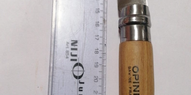 Prins cu un cuțit asupra lui. Probleme la primul marș Pride TM de la Timișoara