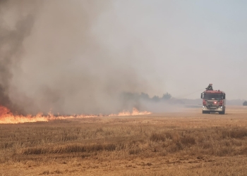 VIDEO Incendiu de vegetație pe zeci de hectare, la periferia Timișoarei
