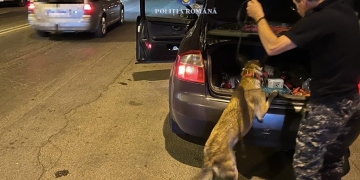 Prins cu drogu-n sac, la un control de rutină, de polițiștii timișeni
