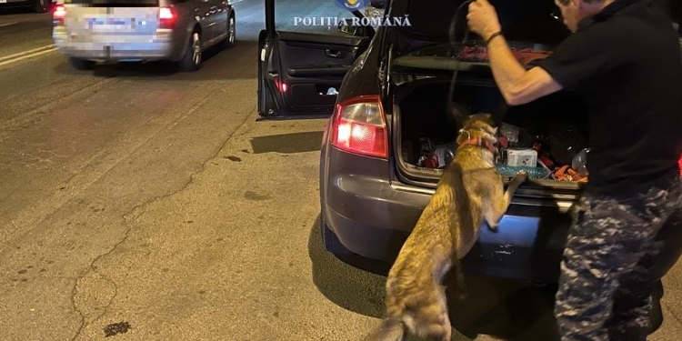 Prins cu drogu-n sac, la un control de rutină, de polițiștii timișeni
