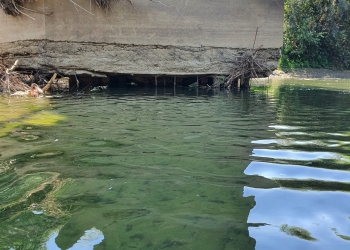 VIDEO Pod peste Timiș, pericol public! Este tranzitat de mii de persoane