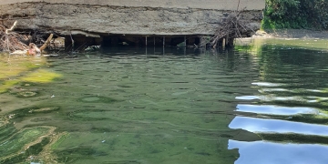 VIDEO Pod peste Timiș, pericol public! Este tranzitat de mii de persoane