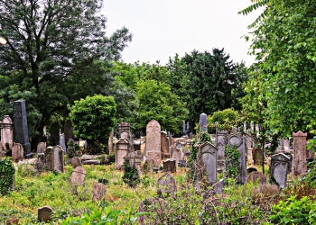 Dezastru în cimitirele din Timișoara! Neîngrijite și cu aproape toate locurile de veci ocupate