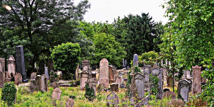 Dezastru în cimitirele din Timișoara! Neîngrijite și cu aproape toate locurile de veci ocupate
