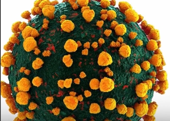 A apărut o nouă variantă de Covid, supranumită „Centaurus”