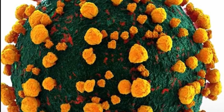 A apărut o nouă variantă de Covid, supranumită „Centaurus”