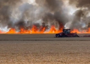 VIDEO Imagini apocaliptice! Un incendiu izbucnit în Timiș, dă fiori