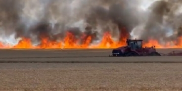 VIDEO Imagini apocaliptice! Un incendiu izbucnit în Timiș, dă fiori