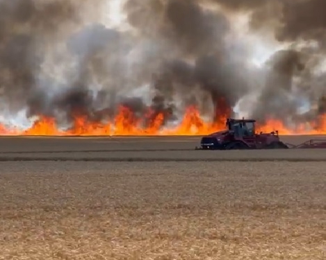 VIDEO Imagini apocaliptice! Un incendiu izbucnit în Timiș, dă fiori