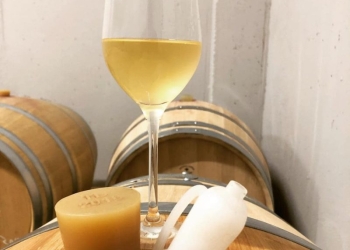 În premieră! Banat Brunch, în vie