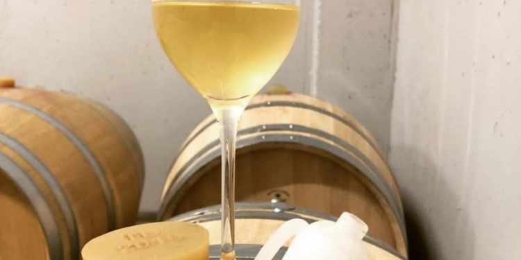 În premieră! Banat Brunch, în vie