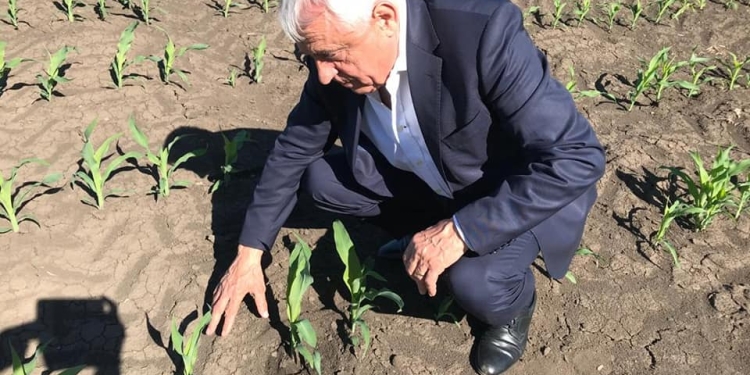 Nea Petrică Daea (PSD) revine în fruntea Agriculturii!