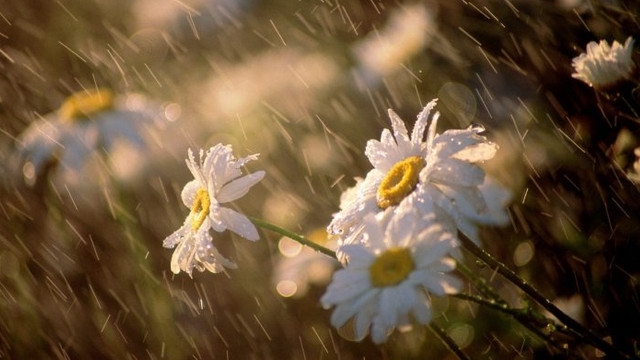 Anunțul mult așteptat! Când scăpăm de caniculă în Banat