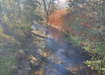 Râurile din Banat au tot mai puțină apă
