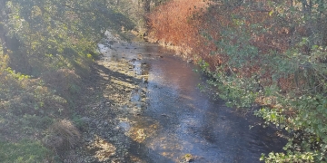 Râurile din Banat au tot mai puțină apă