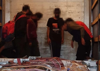 VIDEO Migranți cu zecile au încercat să fugă din România, ascunși în TIR-uri