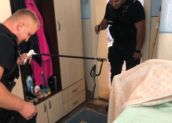 FOTO S-a trezit cu șarpele în dormitor! Pățania unei familii din vestul țării