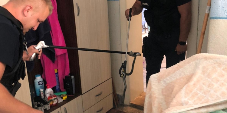 FOTO S-a trezit cu șarpele în dormitor! Pățania unei familii din vestul țării