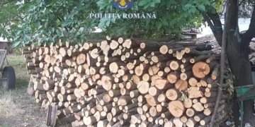 11 persoane reținute, după percheziții într-un dosar de tăiere ilegală de arbori, furt și tăinuire