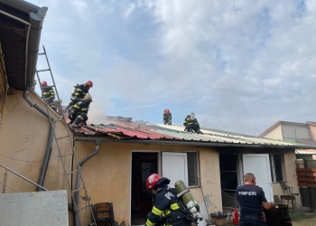 Fast food făcut scrum, în Arad