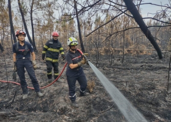 Pompierii din Timiș continuă lupta cu flăcările, în Franța