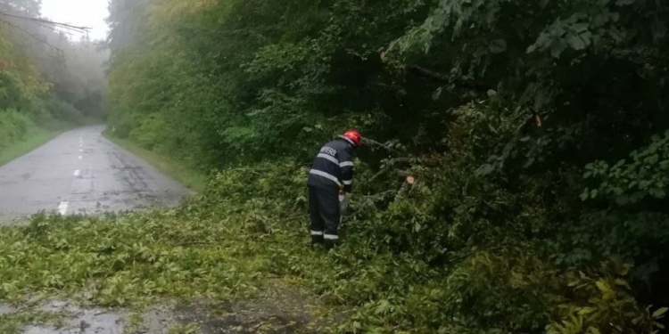 Copaci căzuți și gopodării inundate după furtuna puternică din Timiș