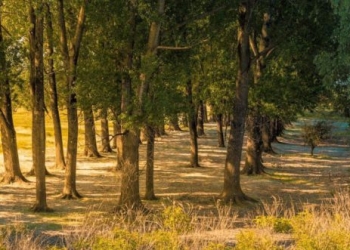 Weekend în unul dintre cele mai vechi sate românești din Banat.  Duboz vă învită să descoperiți locul și oamenii săi