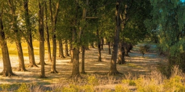 Weekend în unul dintre cele mai vechi sate românești din Banat.  Duboz vă învită să descoperiți locul și oamenii săi