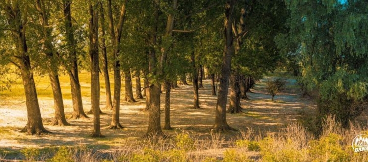 Weekend în unul dintre cele mai vechi sate românești din Banat.  Duboz vă învită să descoperiți locul și oamenii săi