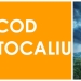 Atenție! Cod Portocaliu de instabilitate atmosferică și ploi torențiale