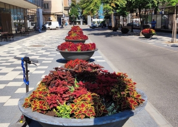 Horticultura, primul proiect din istorie depus pe fonduri europene