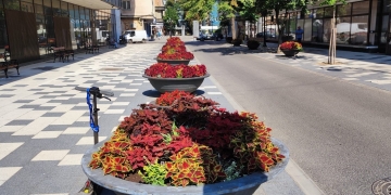 Horticultura, primul proiect din istorie depus pe fonduri europene