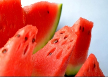 Sărbătoare cu gust de lubeniță la Gottlob