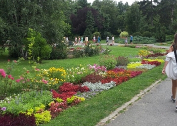 Prin Parcul Botanic nu se mai trece! Încep lucrările pentru iluminatul public