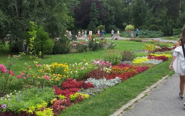 Prin Parcul Botanic nu se mai trece! Încep lucrările pentru iluminatul public