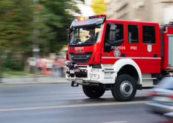 Incendiu de vegetație pe o stradă din Timișoara