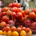 Se pregătește Sărbătoarea tomatelor, la Timișoara