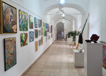 S-au afișat rezultatele admiterii la Școala de Artă Timișoara