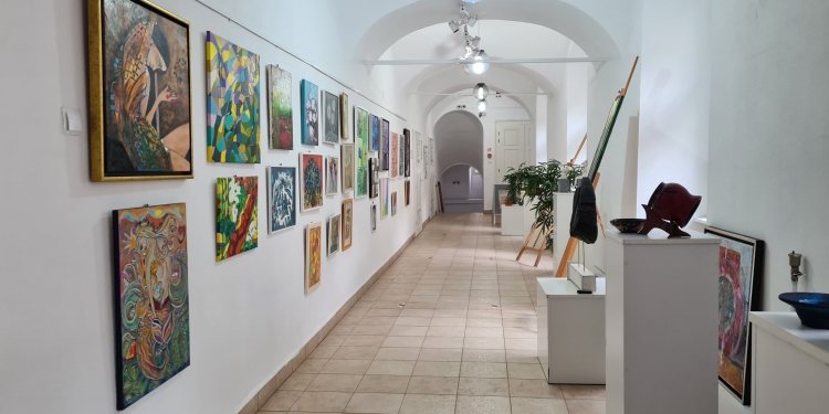 S-au afișat rezultatele admiterii la Școala de Artă Timișoara