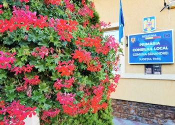 Aproape 8 milioane de euro, finanțare pentru proiectele din Sânandrei