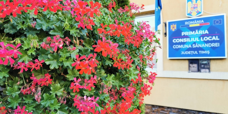 Aproape 8 milioane de euro, finanțare pentru proiectele din Sânandrei