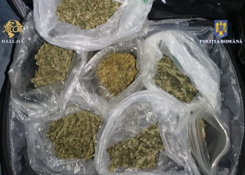 VIDEO Percheziții în vestul țării! Persoane reținute pentru trafic de droguri