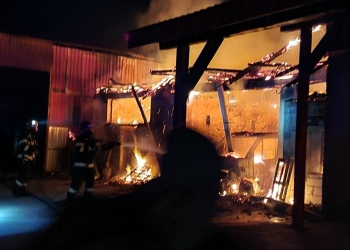 Noapte grea pentru pompierii din Timiș