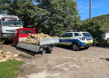 Sute de metri de lemn confiscat de oamenii legii