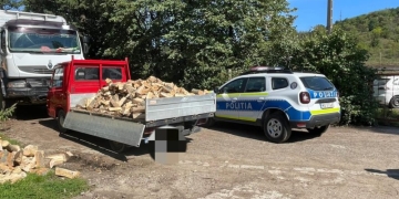 Sute de metri de lemn confiscat de oamenii legii