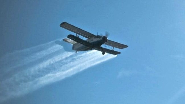 Atenție! Dezinsecție în weekend