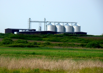 Tranzacție de milioane de euro în agricultura din Timiș! Maxagro face o achiziție importantă