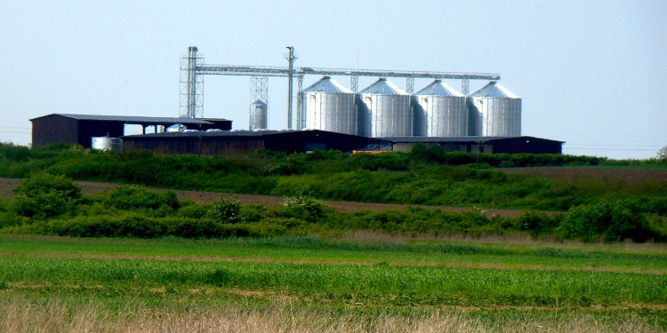 Tranzacție de milioane de euro în agricultura din Timiș! Maxagro face o achiziție importantă